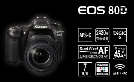 家用单反哪个最具性价比,高性价比入门单反推荐