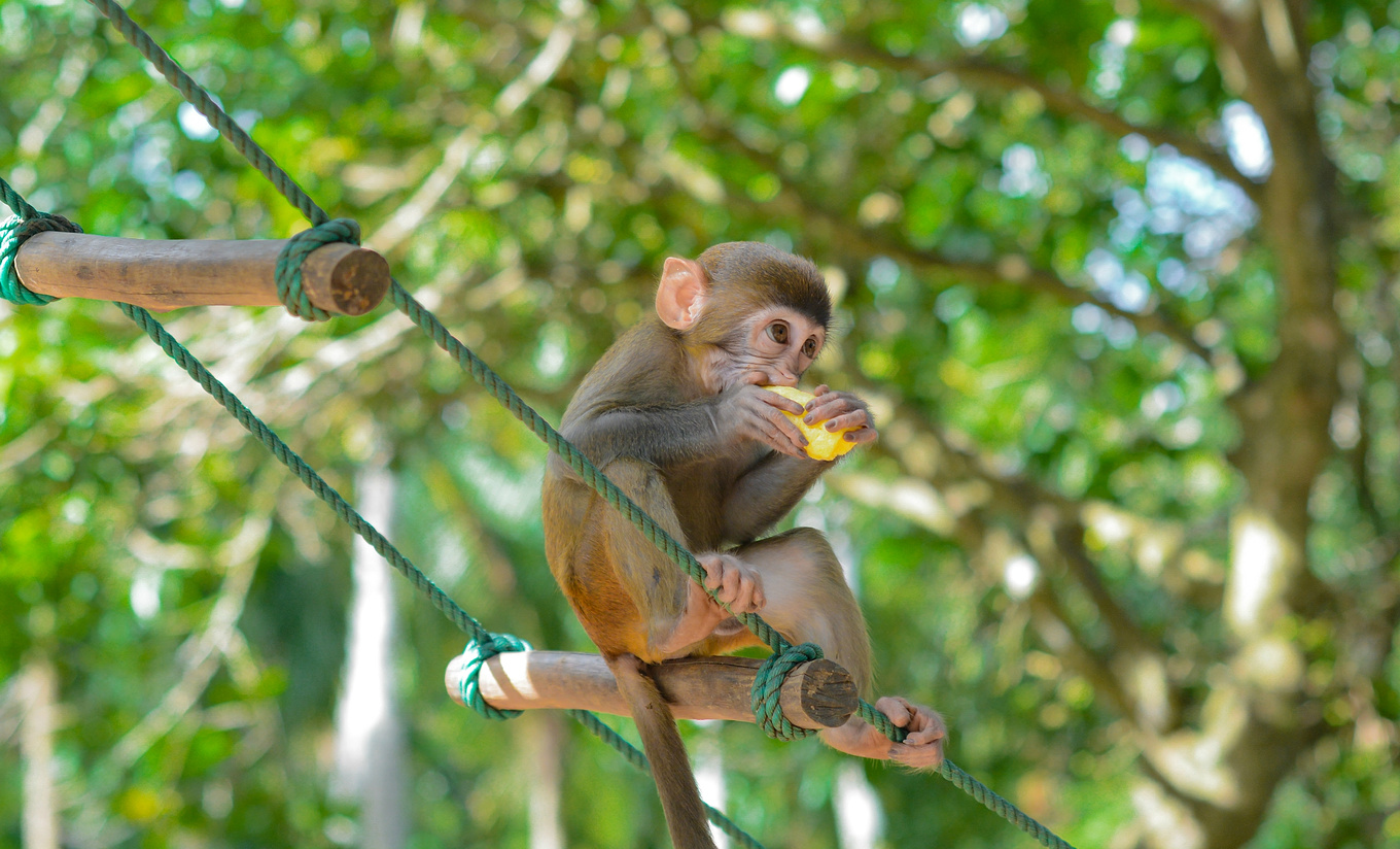 你在南方瑟瑟发抖，我在这里遛娃、看猴、赶海····