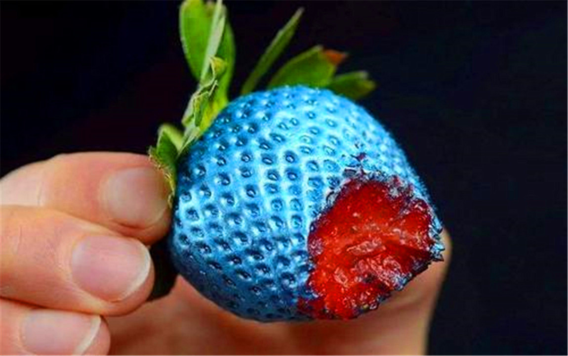 色盲和普通人眼中的世界对比,色盲眼中的世界是不是真正的颜色