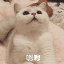 华中科技大学与同济大学比哪所好,武汉大学华中科技大学谁更好一些