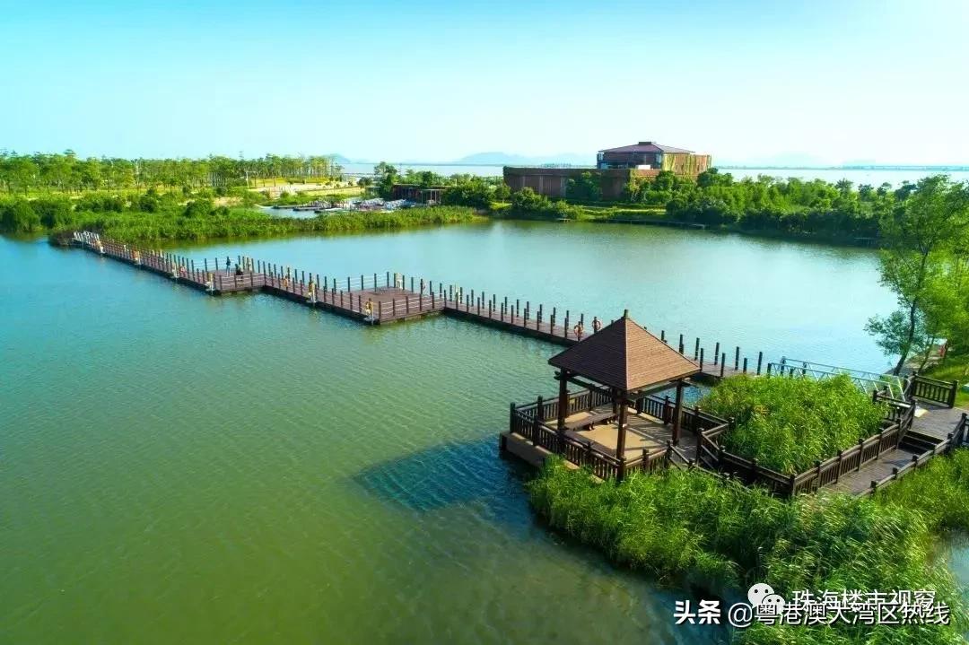 珠海打造粤港澳大湾区经济新引擎,珠海大湾区会成为经济中心吗