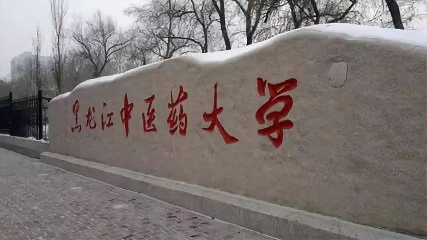 这些大学并非“双一流”，但专业却是国内数一数二