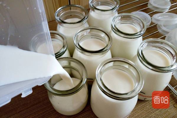 教你自制酸奶，最简单的方式，浓稠又好喝，家人抢着喝