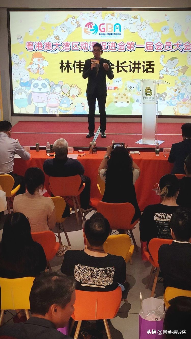 广东粤港澳大湾区促进会,广东省粤港澳大湾区促进会