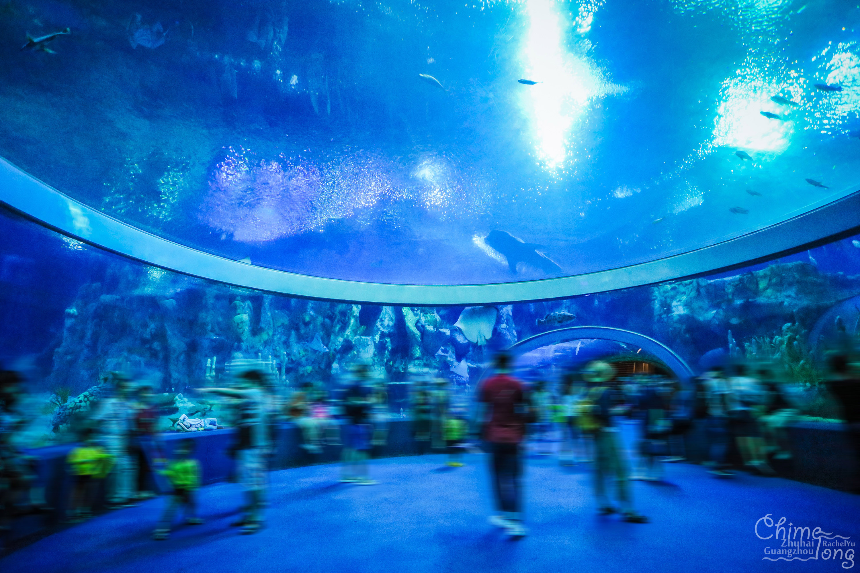 全球最大的海洋主题乐园之一,世界最高的海洋乐园