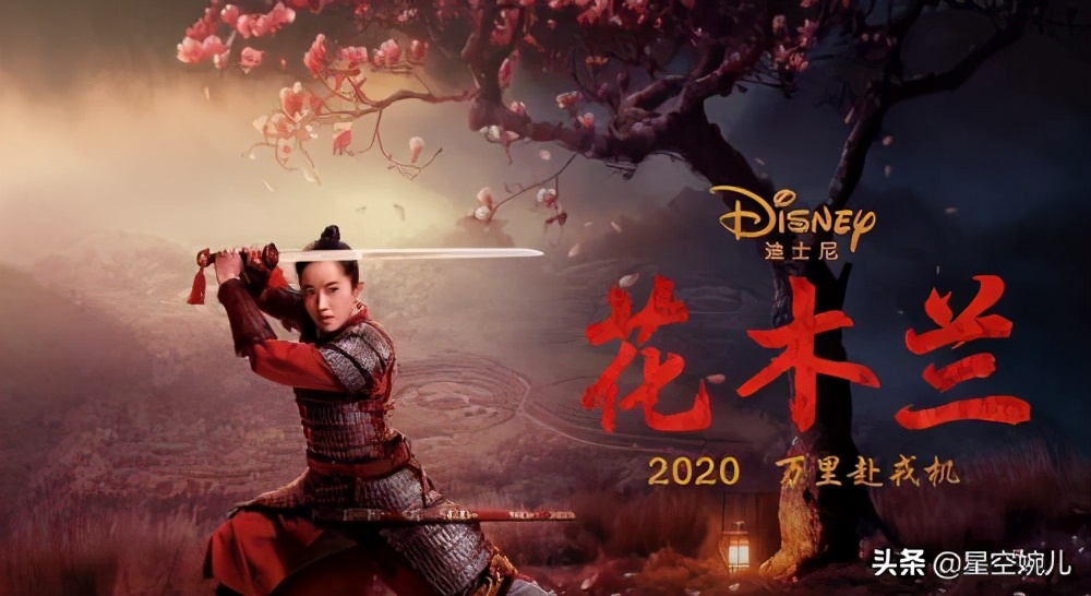 花木兰电影中肯的评价,花木兰电影为什么评分低