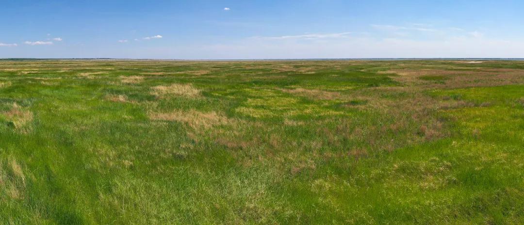 林业生态旅游科普,林草科普