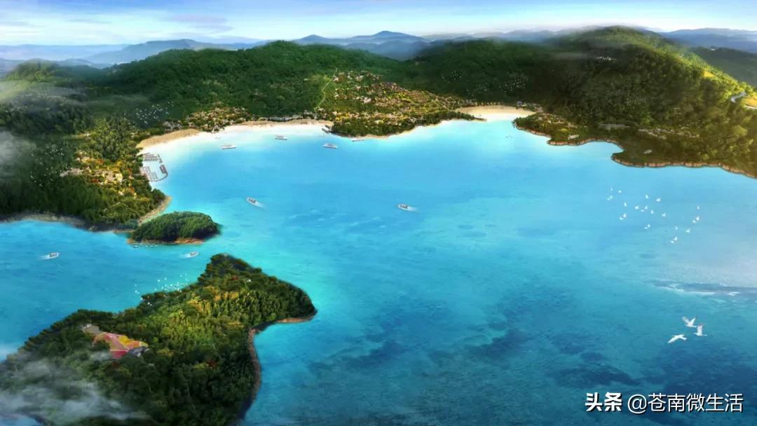 苍南渔寮湾规划图,苍南渔寮项目