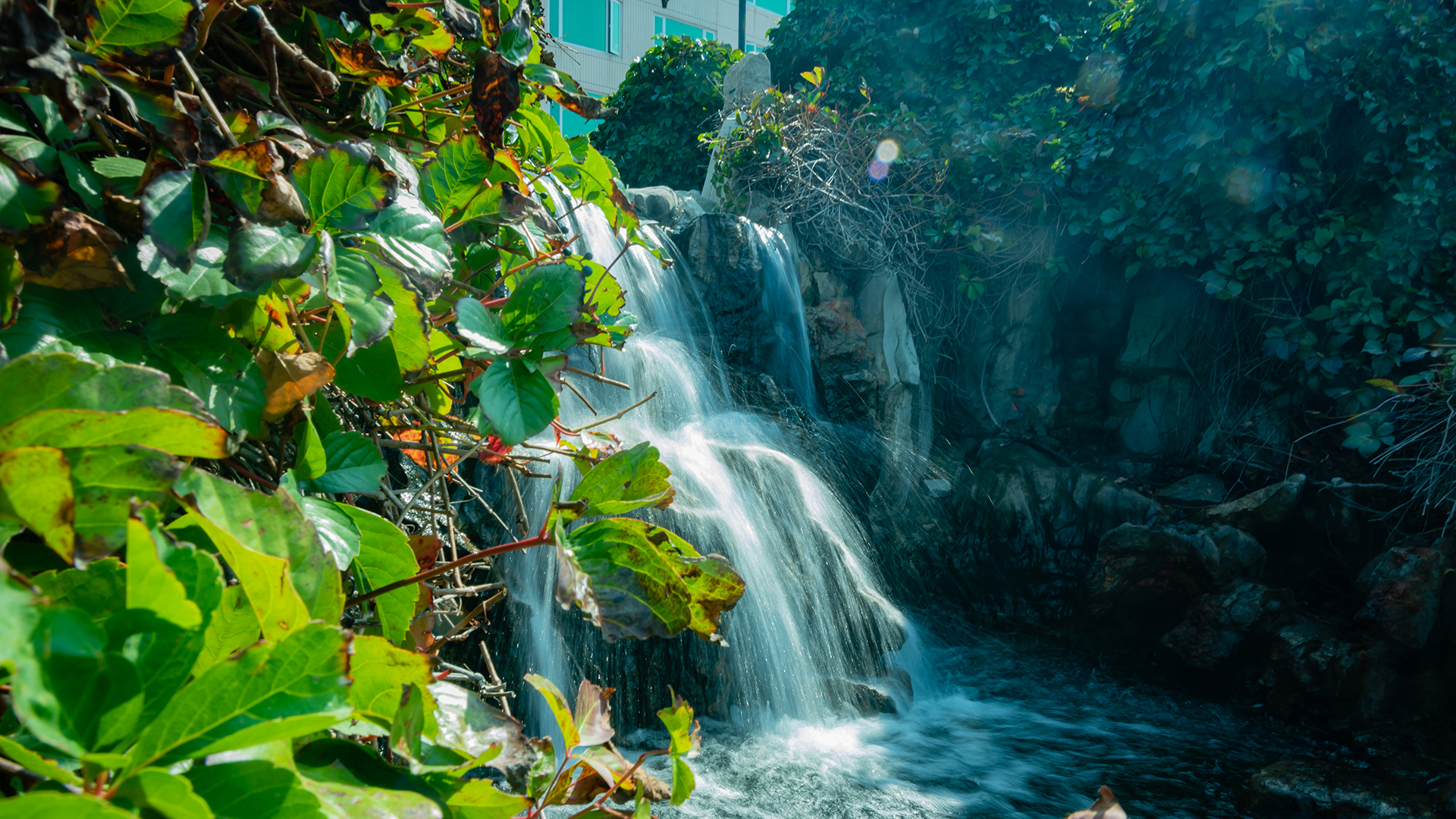 十大宜居城市威海,威海荣成乳山哪里更适合宜居