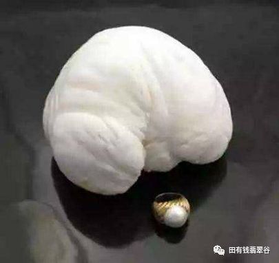 世界著名的珍珠首饰,世界上最美的珍珠