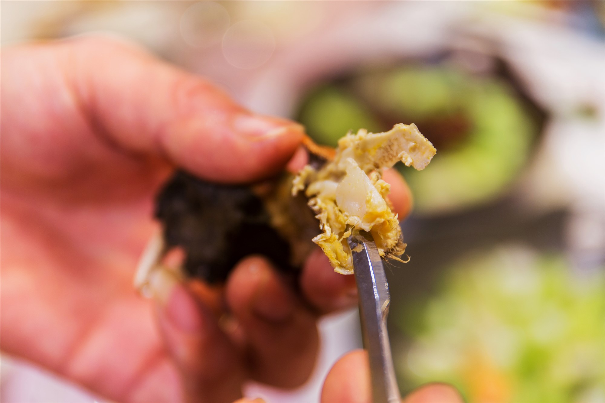 昆山出发二日游跟团游攻略,昆山吃大闸蟹一日游