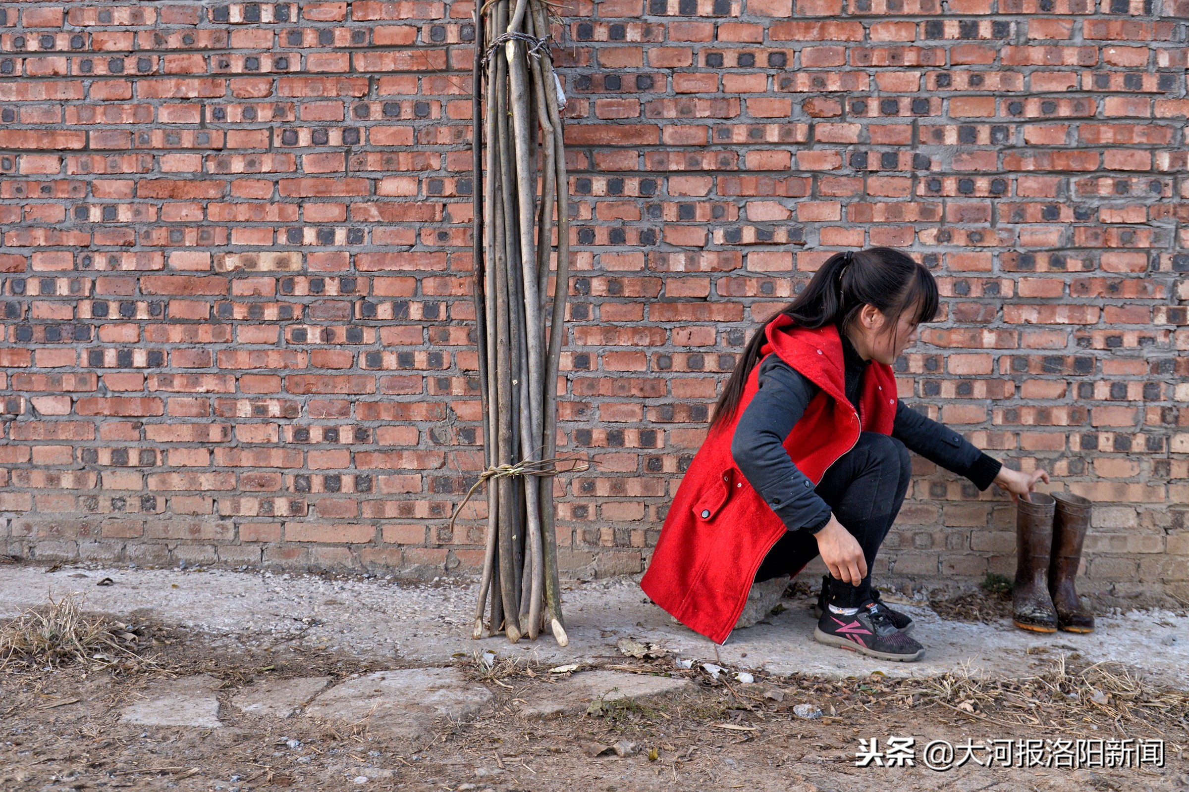 养牛女报恩养父,河南23岁女孩报恩养父深山养牛