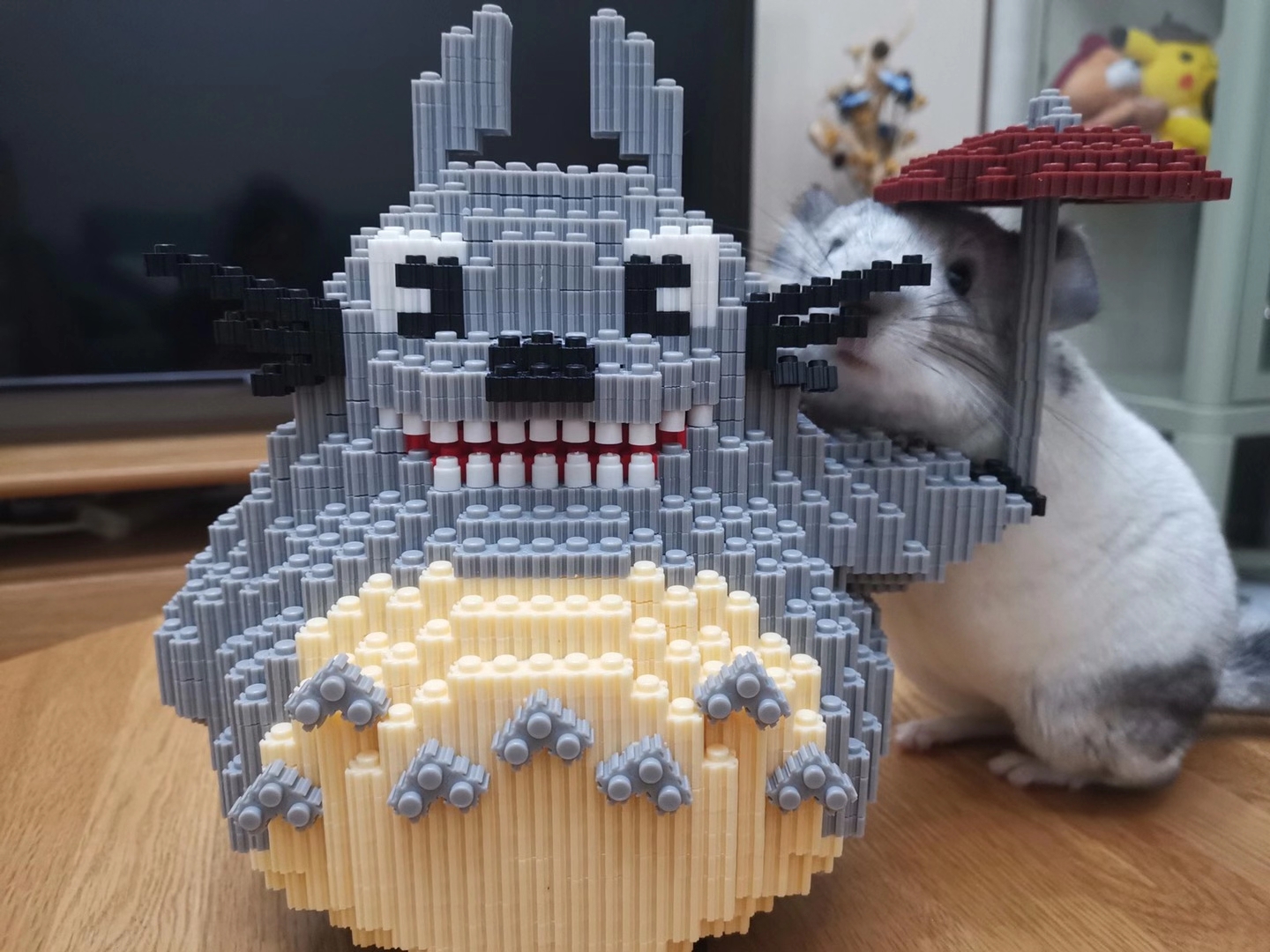 龙猫是猫还是鼠啊,龙猫是猫还是鼠