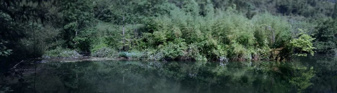 莫干山打卡圣地,莫干山王源