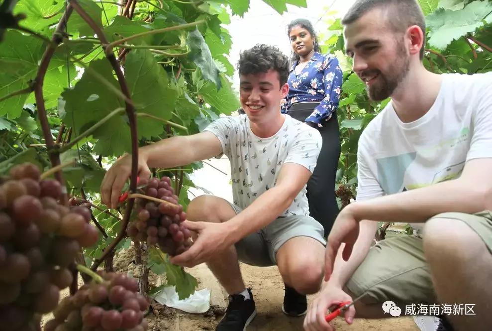 威海南海家园,威海南海新区最具幸福感城市
