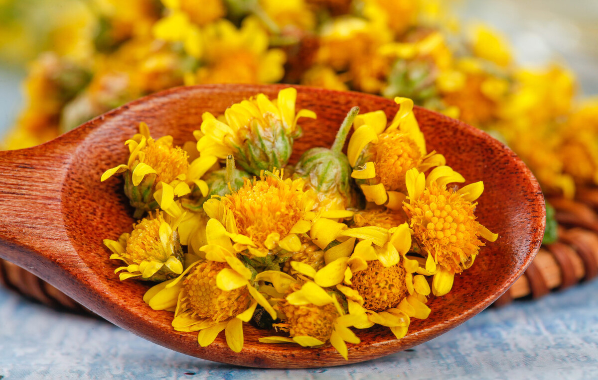 常喝菊花茶，清热降火，但要注意这4点