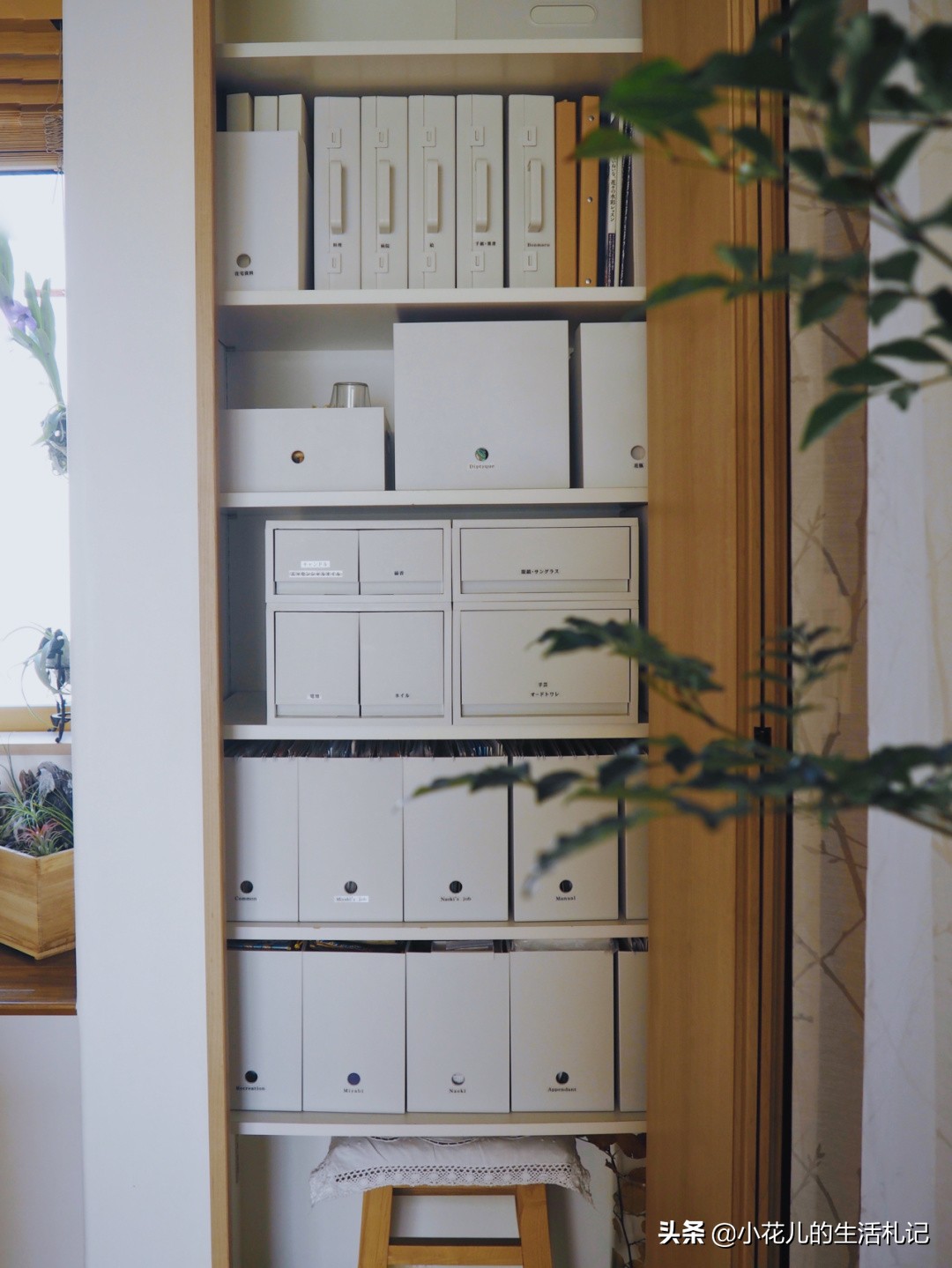 家里重要文件怎样收纳安全,家里各种重要文件谁保管最好