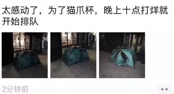 一只猫爪杯,让平静的江湖又掀起了一阵腥风血雨