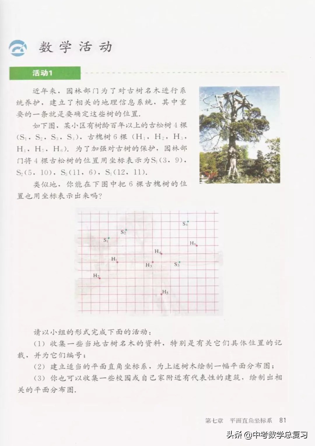 华师大版七年级下册数学电子课本,七年级下册数学自主学习电子课本