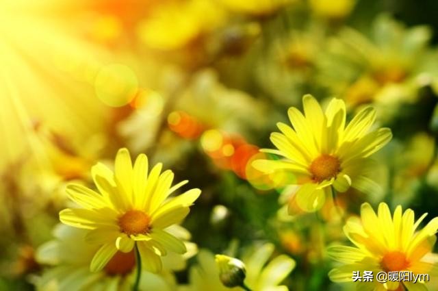 真实的癌症患者自述反面教材,癌症患者自述需要家人的关心