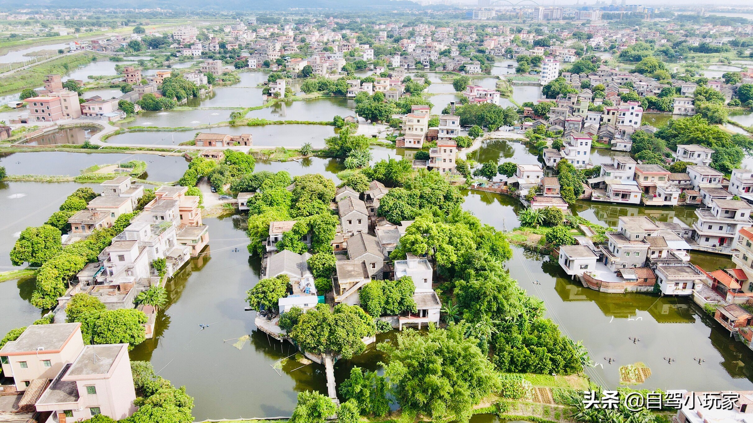 广州好玩的地方小众,广州小众景点排行榜