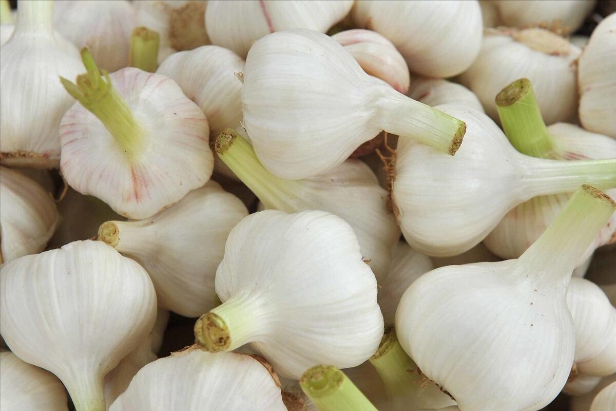 五斤雪碧大蒜腌糖蒜比例方法,腌糖蒜加雪碧和不加雪碧哪个好吃