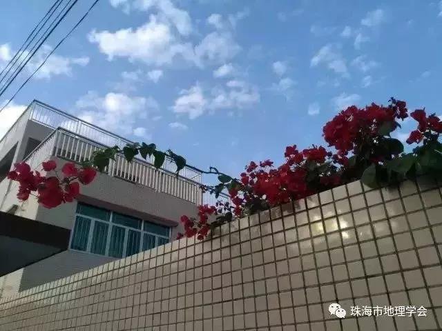 珠海市的古镇古村落,珠海最值得打卡的三大古村