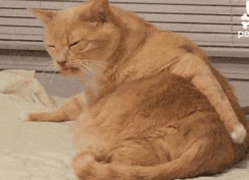 妊娠后皮肤痒,孕早期长痘化妆品能用吗