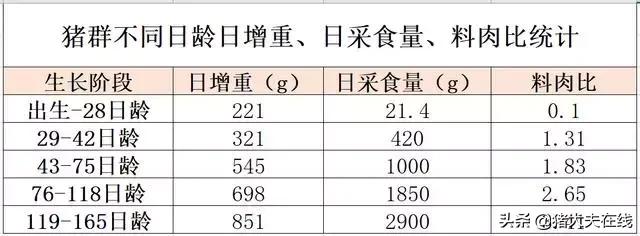 中西结合治疗的最佳方法,中西医结合促健康