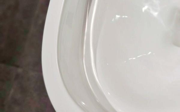 欧路莎测评,欧路莎最小轻智能马桶是哪款