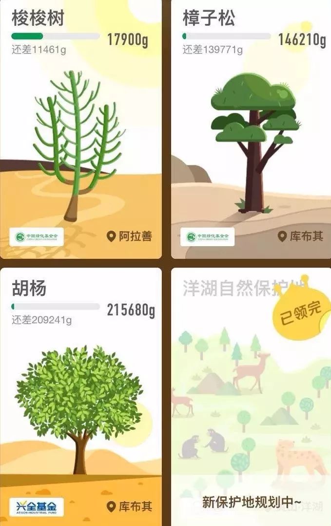 所有太仓人，你的蚂蚁森林里有几颗梭梭树啦？