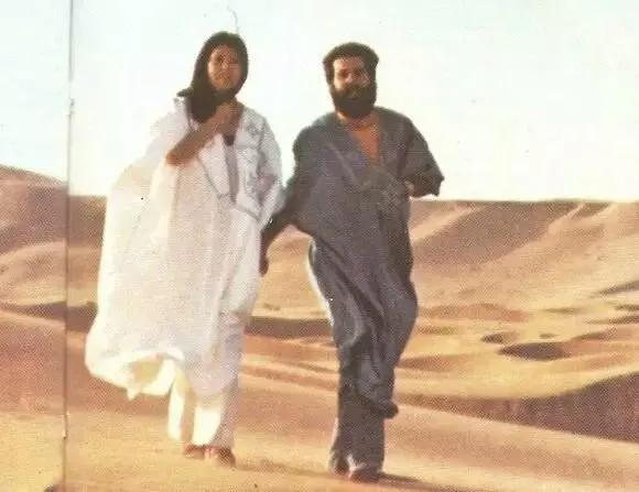 三毛作品万水千山走遍内容概括,三毛万水千山走遍主要讲的是什么