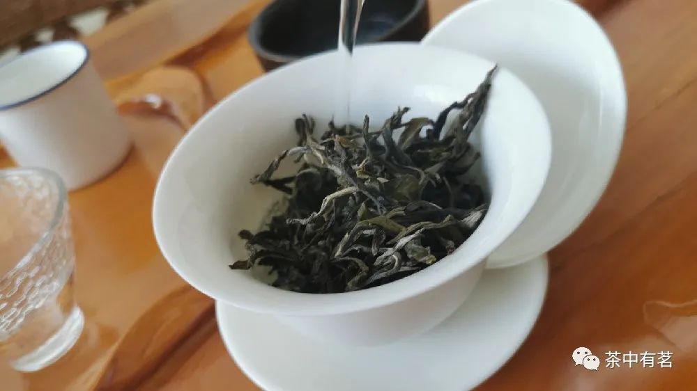 普洱茶冲泡的9个步骤和方法图解,普洱茶的冲泡方法正宗