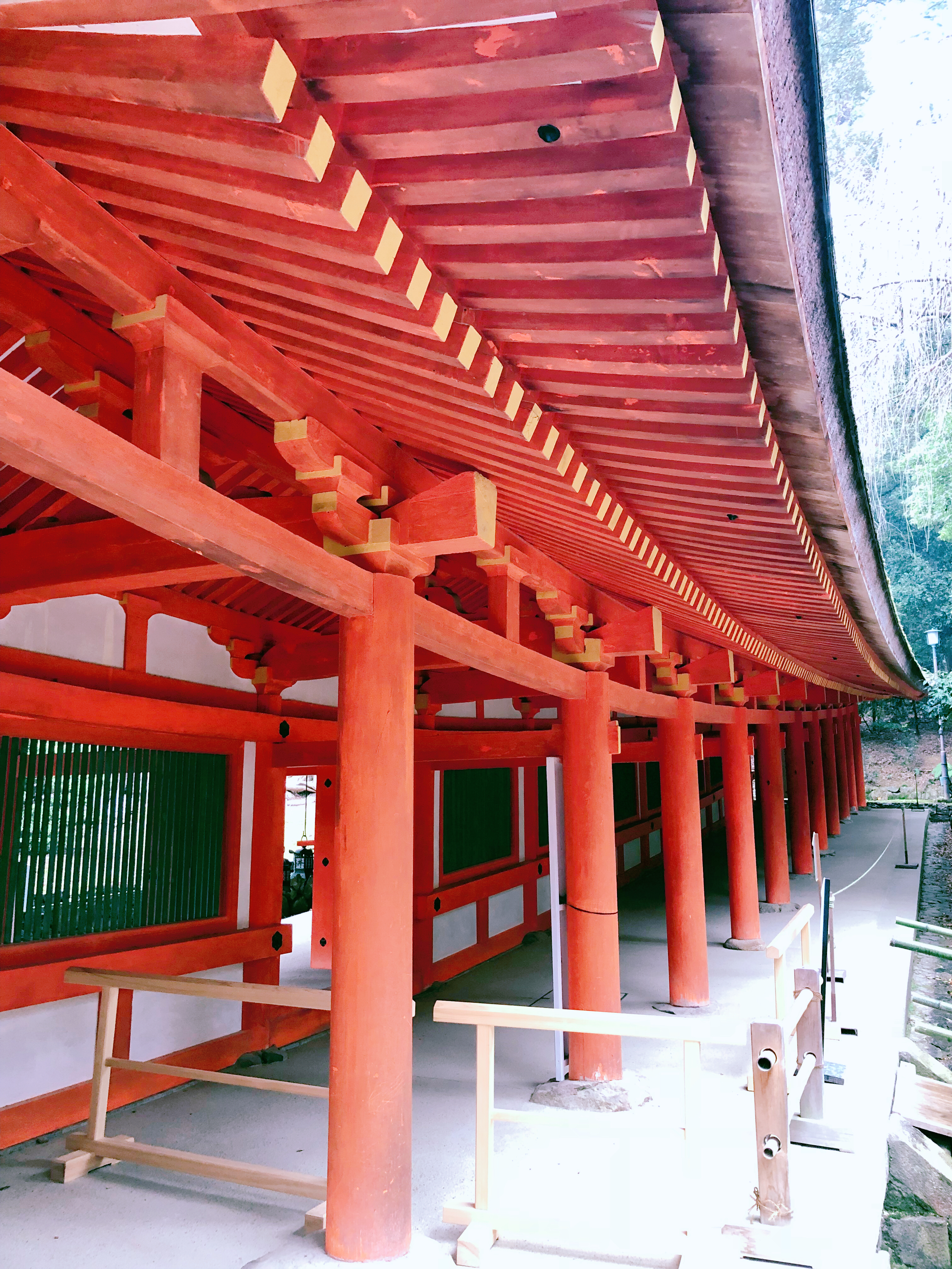 日本奈良公园遇见“神鹿”,日本奈良公园的鹿叫什么鹿