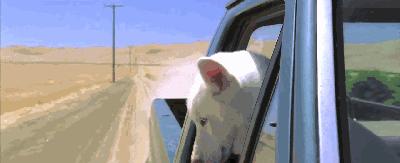 这是一部想象爆棚的超R级影片，好「色」之徒必看电影