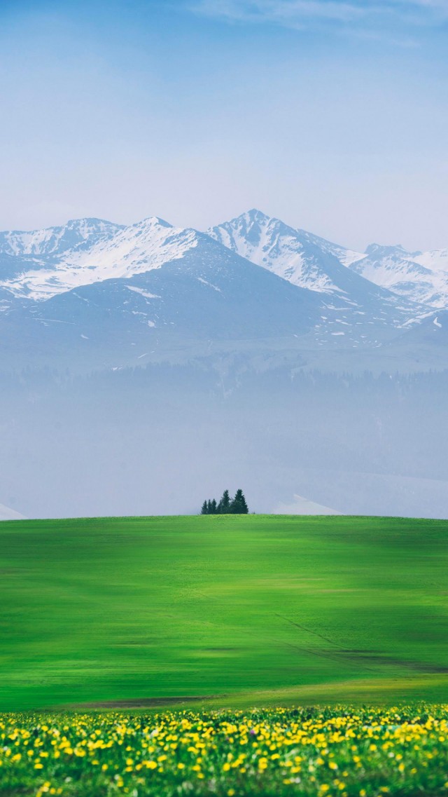 肛门坠胀是怎么回事？怎么处理？