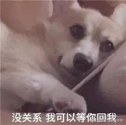 和朋友吵架了冷战怎么解决搞笑,和朋友吵架冷战想和解的视频