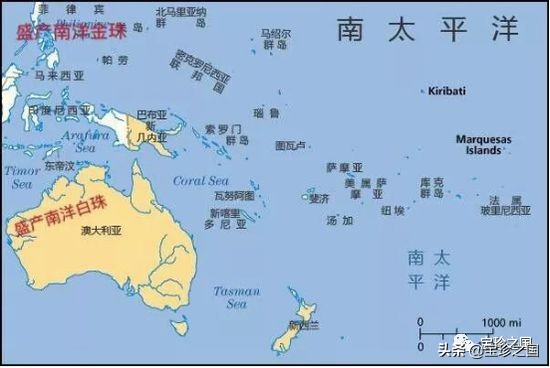 智识珍珠07|南洋白珠：珍珠界的“禁欲系”代表