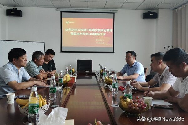 安徽阜阳市太和三塔镇,安徽阜阳市太和县三塔镇