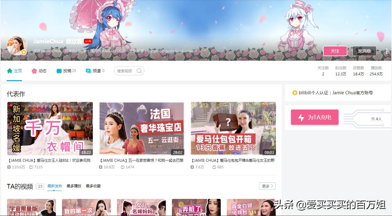 爱马仕白富美,十大漂亮爱马仕