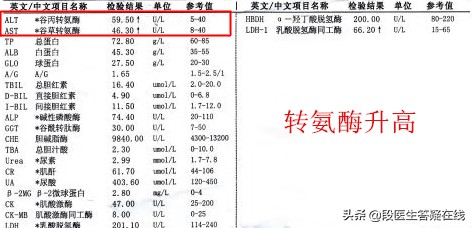 辟谣养肝护肝,辟谣肝不好