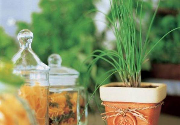 健康管理师越来越吃香,健康管理师真的有那么吃香吗