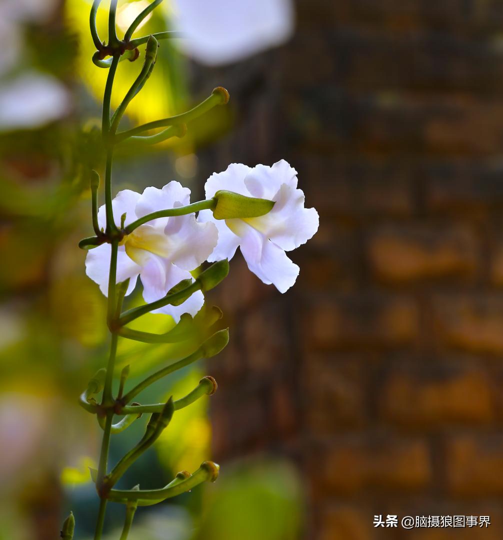 后期修图的技巧和方法,拍照后期修图技巧