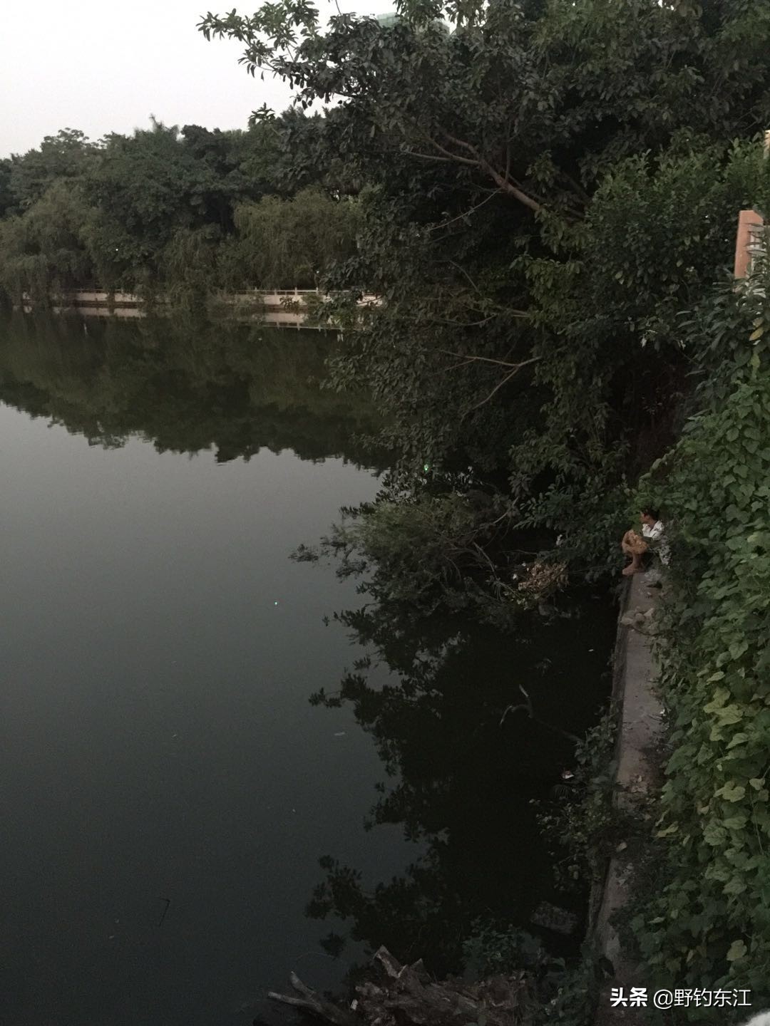 鱼竿和我的匆匆那年