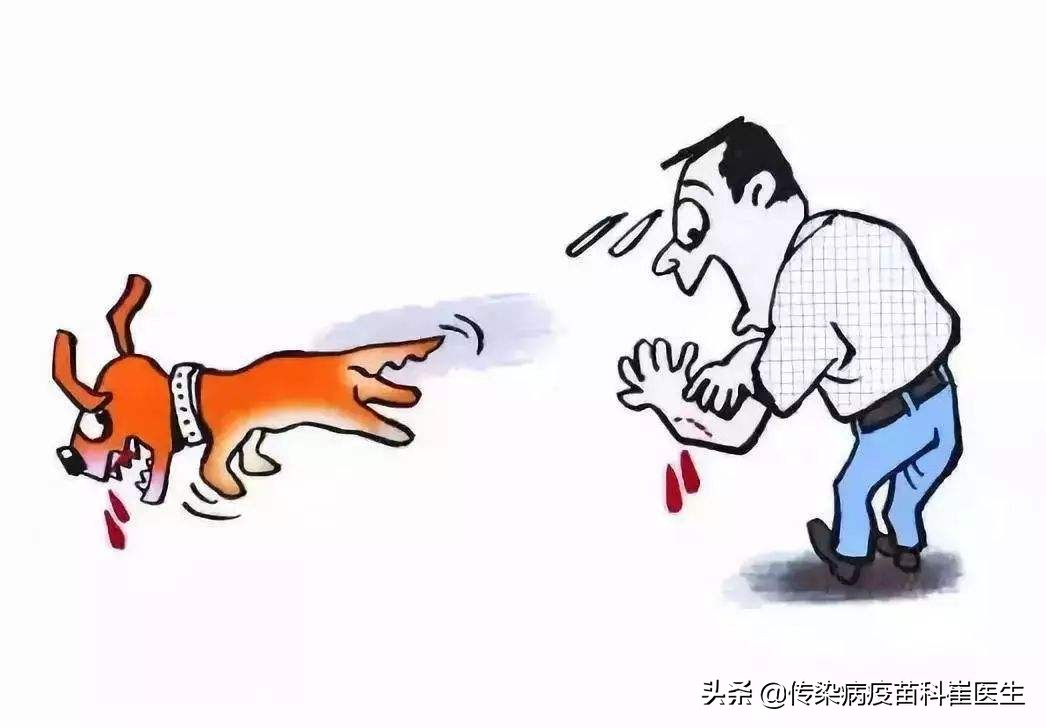 被猫咬伤了轻微出血会有事吗,猫没有狂犬病抓出血了会传染吗