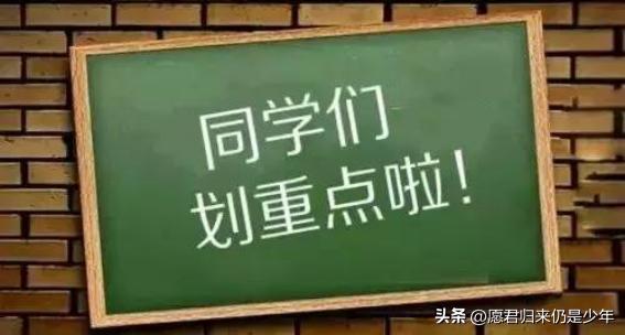 张雨绮的名字解读,张雨绮百科内容