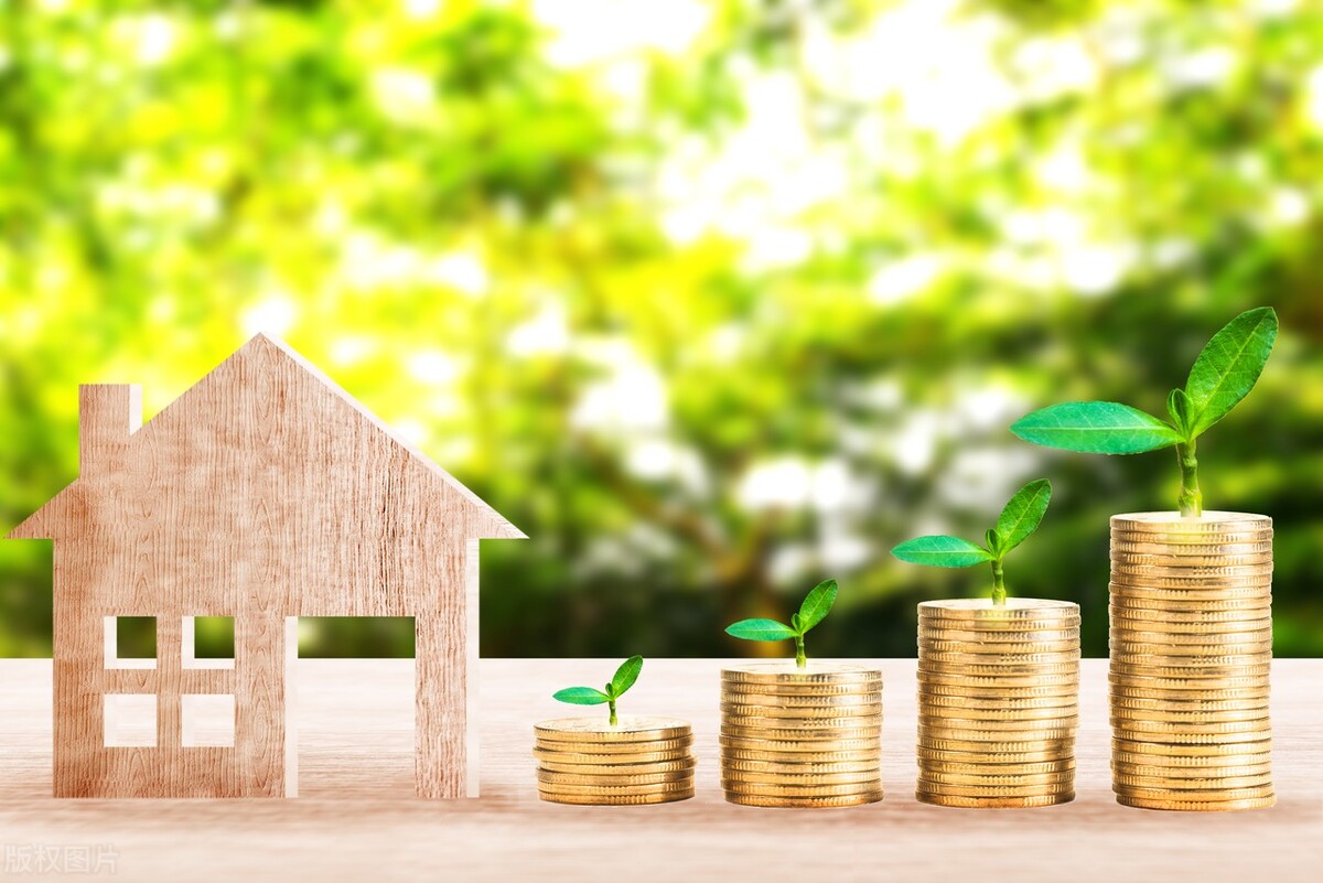 有5万套房子用来收租好吗,5万买一套房子有花园