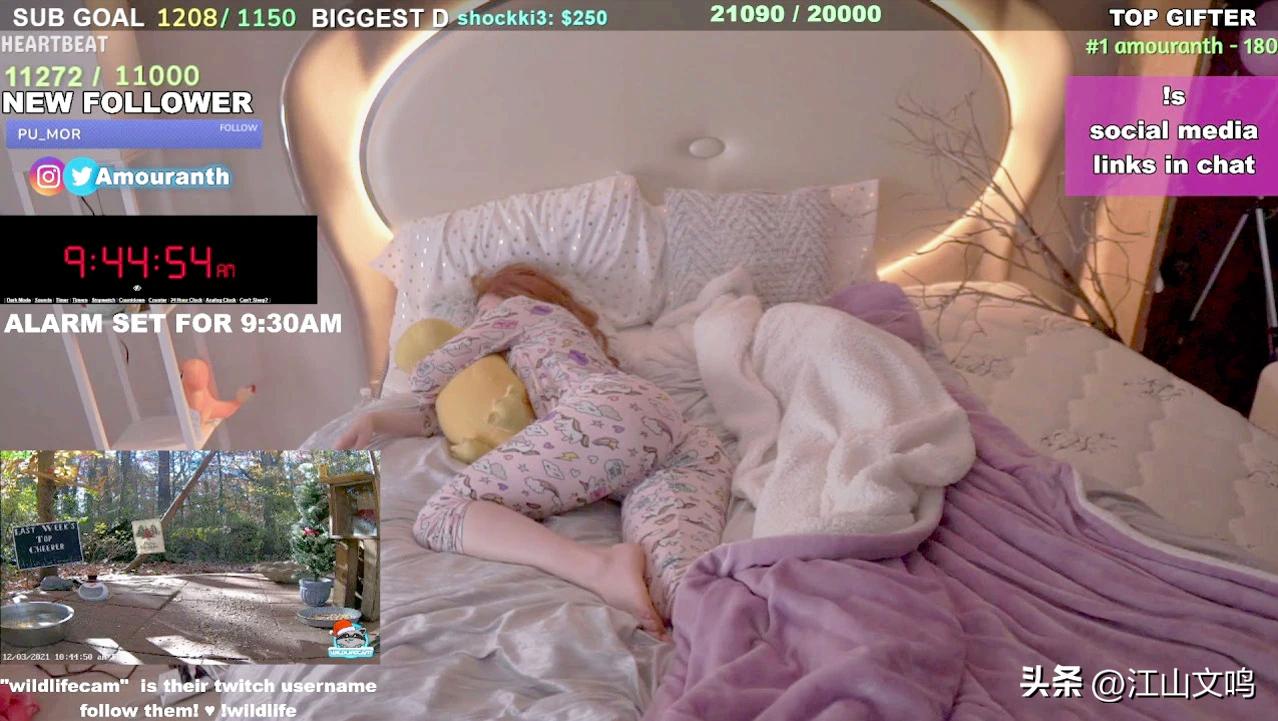 美国睡觉赚钱的女网红是谁,周公太庙