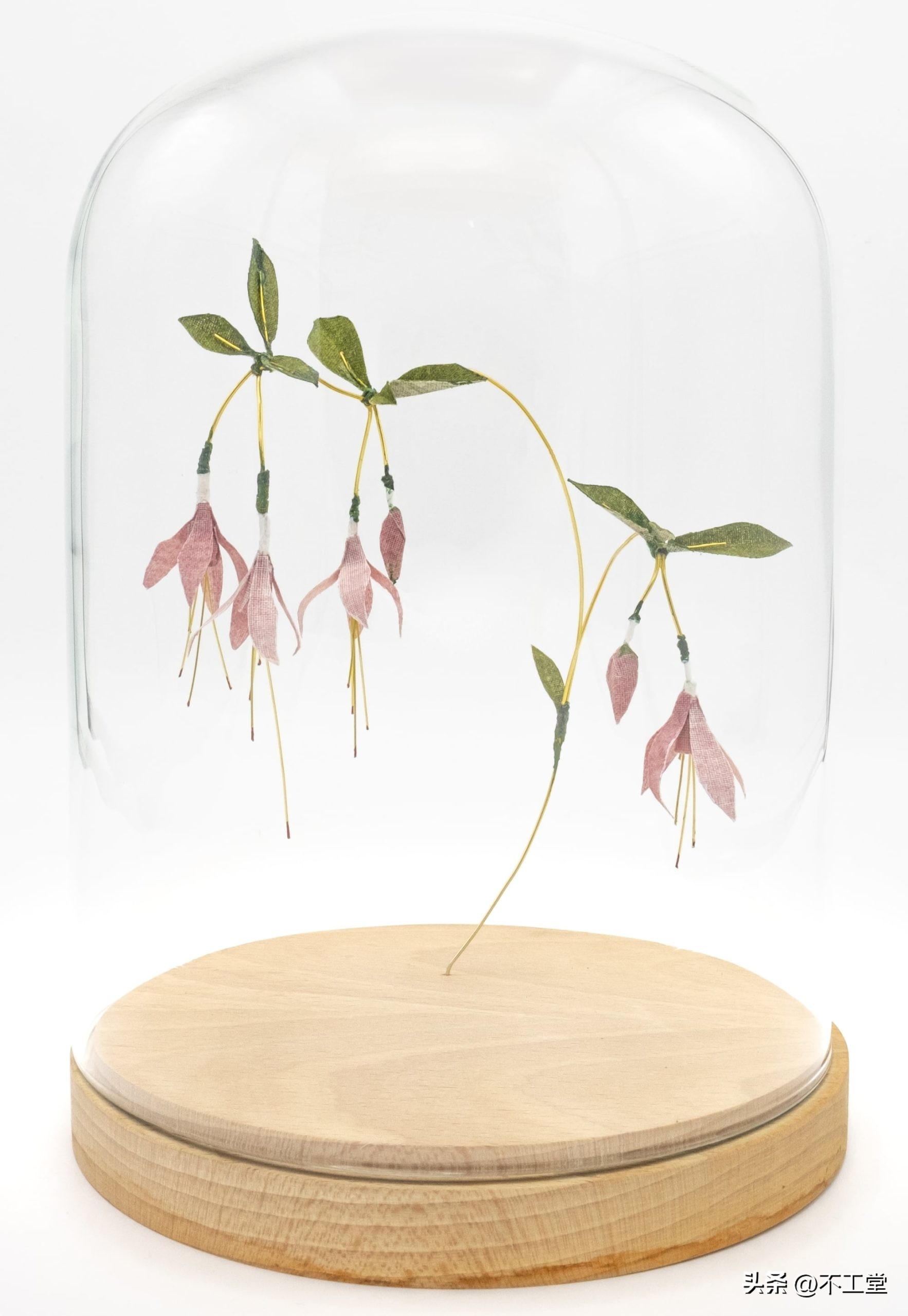 手工压花康乃馨植物标本,中学生手工植物标本