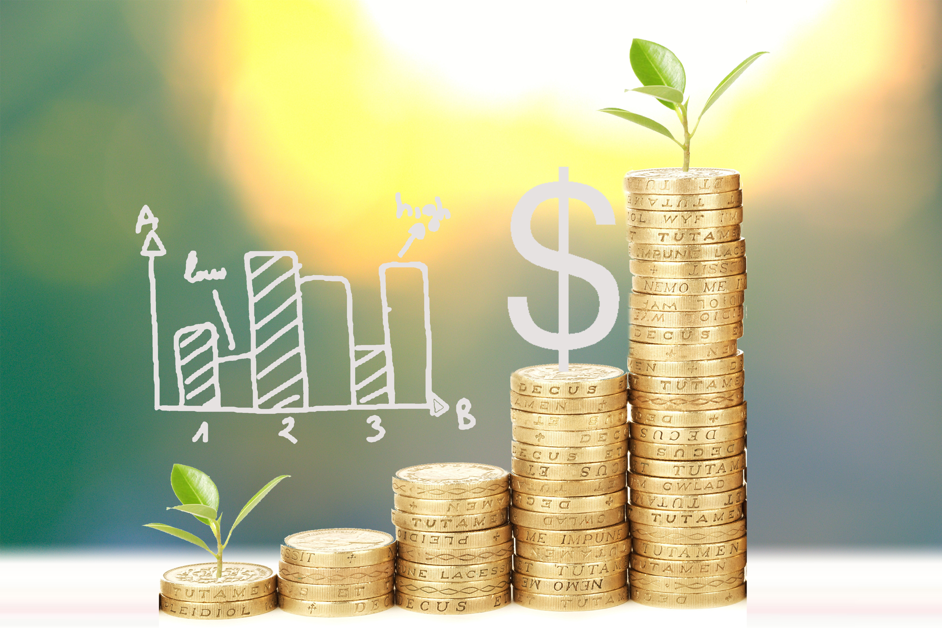 国际资本的流动规律是,我国国际资本流动